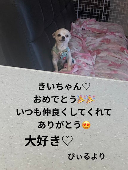 カラフルネイルズ/キャンメイク/マニキュアを使ったクチコミ(5枚目)