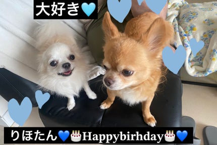 カラフルネイルズ/キャンメイク/マニキュアを使ったクチコミ(7枚目)