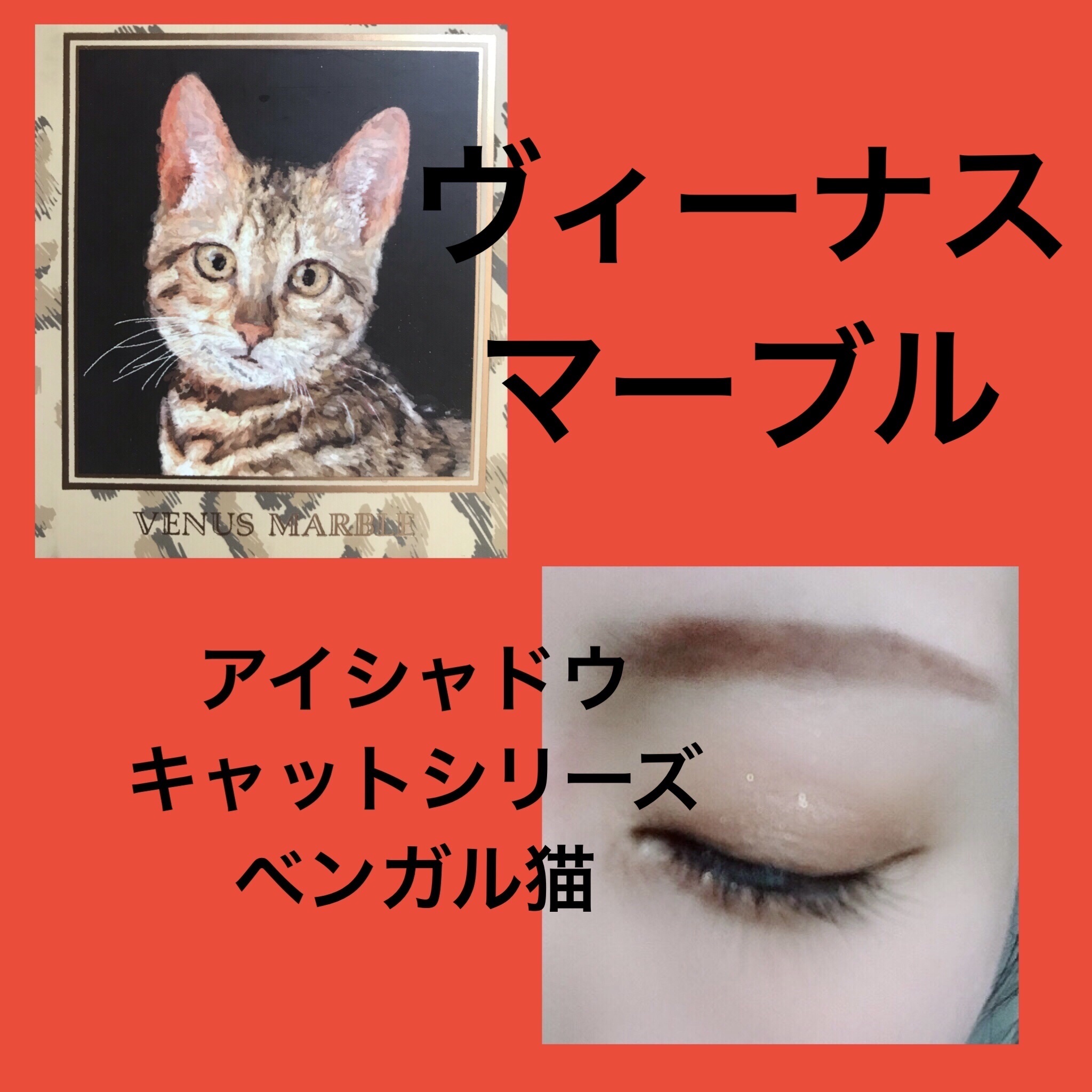 Venus Marble アイシャドウキャットシリーズ/Venus Marble/アイシャドウパレットを使ったクチコミ（1枚目）
