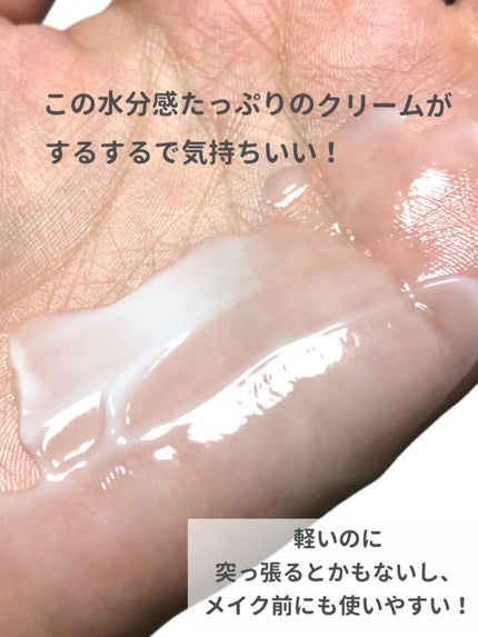 ポアミニマイジング 21 クリーム/TIAM/フェイスクリームを使ったクチコミ(4枚目)