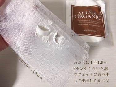 泥洗顔/ALLNA ORGANIC/洗顔フォームを使ったクチコミ（2枚目）