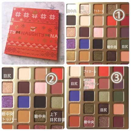 NAUGHTY/bh cosmetics/アイシャドウパレットを使ったクチコミ(6枚目)