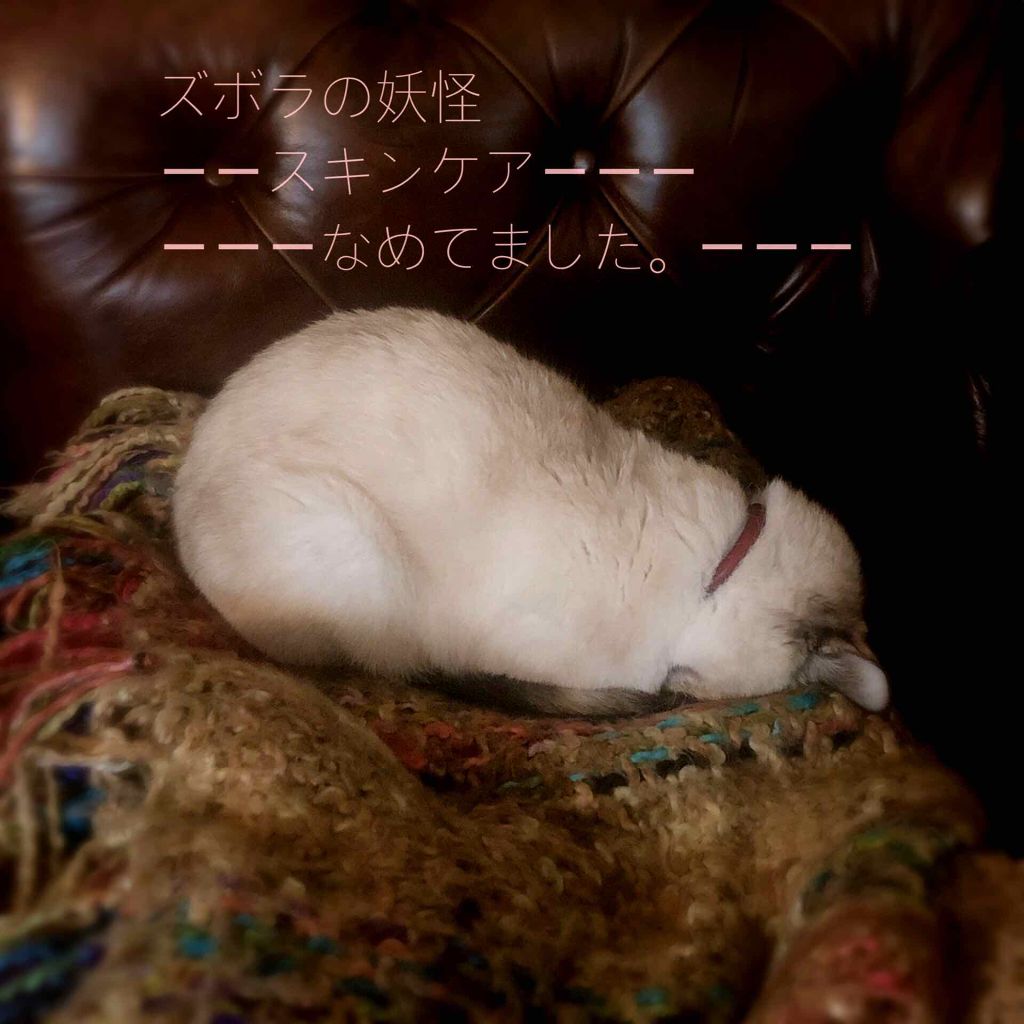 潤浸保湿 化粧水 II しっとり/キュレル/化粧水を使ったクチコミ（1枚目）