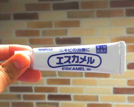 エスカメル(医薬品)/佐藤製薬/その他を使ったクチコミ(1枚目)