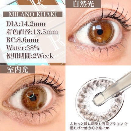 リッチスタンダード2WEEKシリーズ/RICH STANDARD/2週間(2WEEKS)カラコンを使ったクチコミ(4枚目)