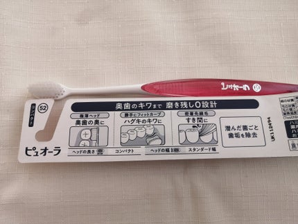 ピュオーラ ハブラシ コンパクトふつう/ピュオーラ/歯ブラシの画像