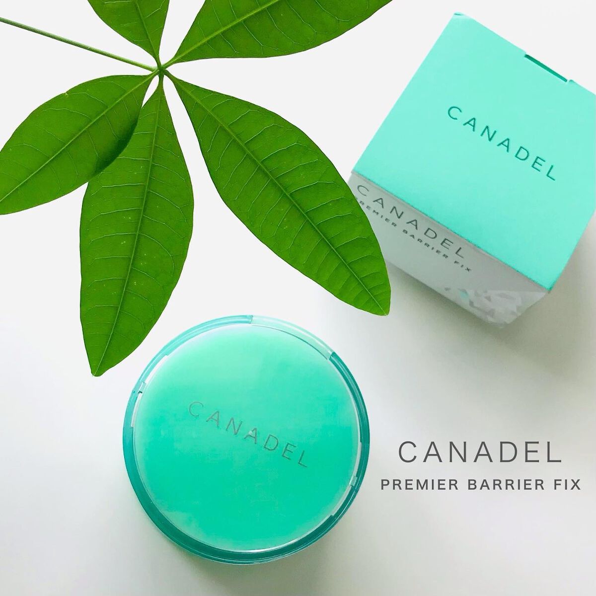 プレミアバリアフィックス /CANADEL/オールインワン化粧品を使ったクチコミ(1枚目)