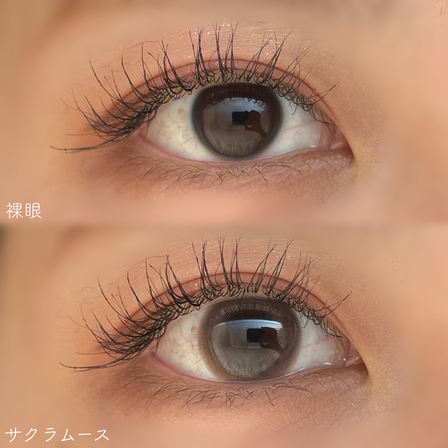 feliamo 1day/feliamo/ワンデー(1DAY)カラコンを使ったクチコミ(3枚目)