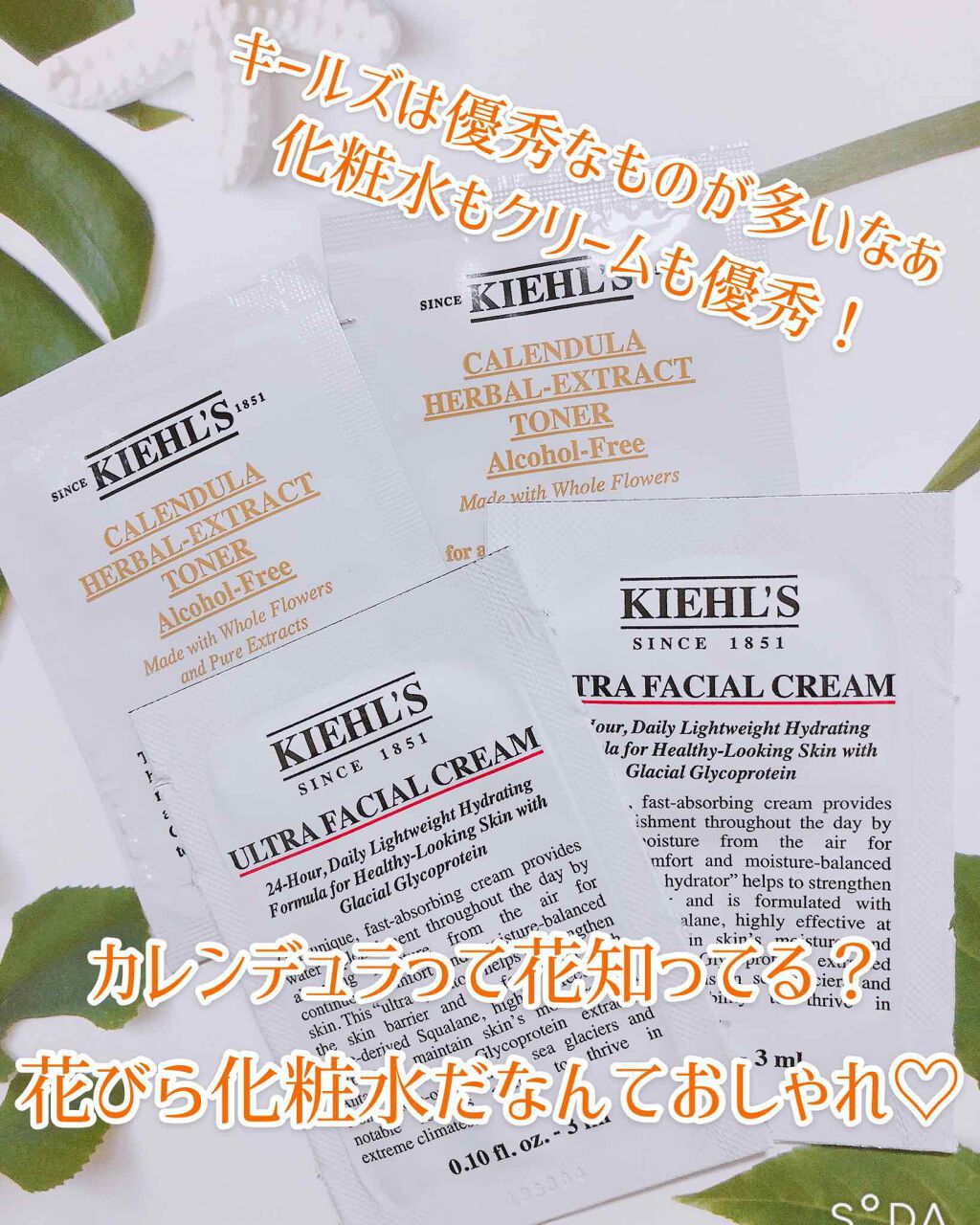 クリーム UFC/Kiehl's/フェイスクリームを使ったクチコミ（1枚目）