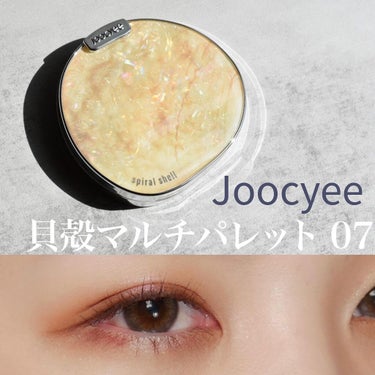 貝殻マルチパレット 07 ゴールデンブラウンサンライズ/Joocyee/アイシャドウパレットを使ったクチコミ（1枚目）