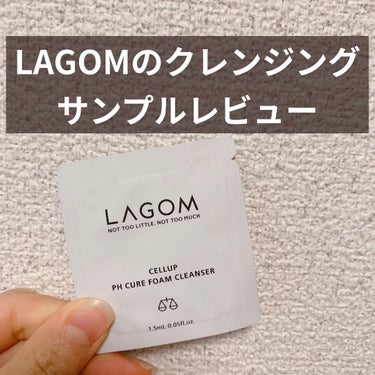 pHバランシング フォームクレンザー/LAGOM /洗顔フォームを使ったクチコミ（1枚目）