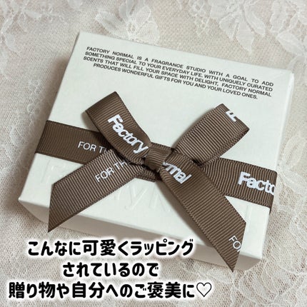 Vegan Jumbo Peppermint Lip Balm/Factory Normal/リップバームを使ったクチコミ(2枚目)