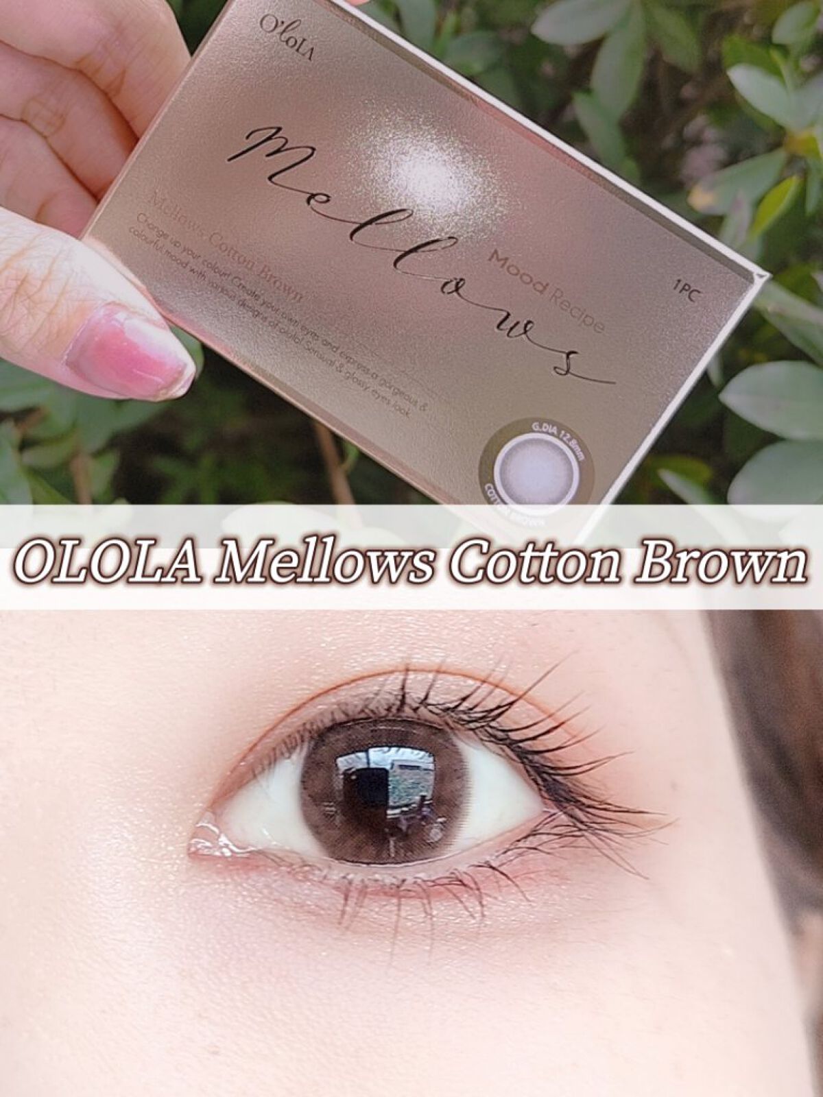 メローズ(Mellows) コットンブラウン/OLOLA/カラーコンタクトレンズを使ったクチコミ（1枚目）