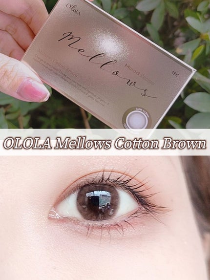 メローズ(Mellows)/OLOLA/カラーコンタクトレンズを使ったクチコミ(1枚目)