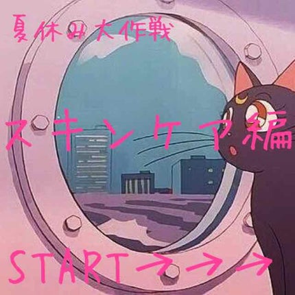 ハトムギ化粧水(ナチュリエ スキンコンディショナー R )/ナチュリエ/化粧水を使ったクチコミ(1枚目)