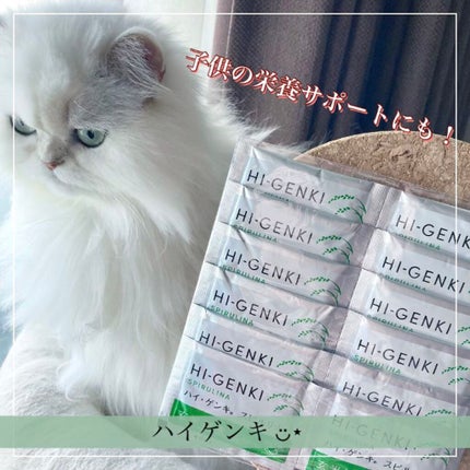 ハイ・ゲンキ スピルリナ/玄米酵素/健康サプリメントを使ったクチコミ(1枚目)