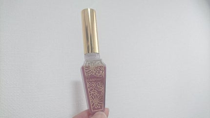 リップティントマット/キャンメイク/リップグロスを使ったクチコミ(1枚目)