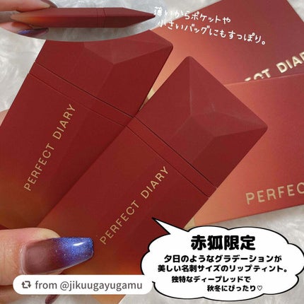 エクスプローラ12色 動物アイシャドウパレット/PERFECT DIARY/アイシャドウパレットを使ったクチコミ(3枚目)