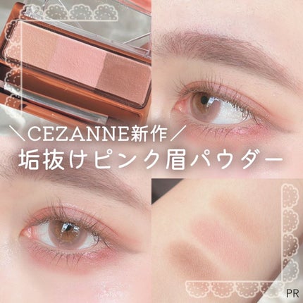 ノーズ&アイブロウパウダー/CEZANNE/パウダーアイブロウを使ったクチコミ(1枚目)
