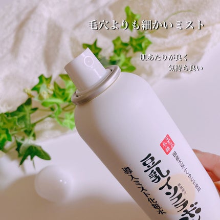 なめらか本舗 マイクロミスト化粧水 NC/なめらか本舗/ミスト状化粧水を使ったクチコミ(2枚目)