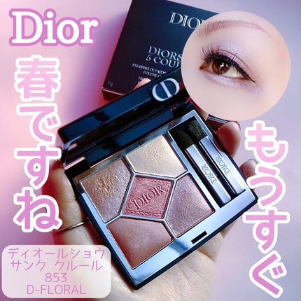 限定色レビュー】ディオールショウ サンク クルール|Diorの 限定色レビュー】ディオールショウ サンク クルール|Diorの