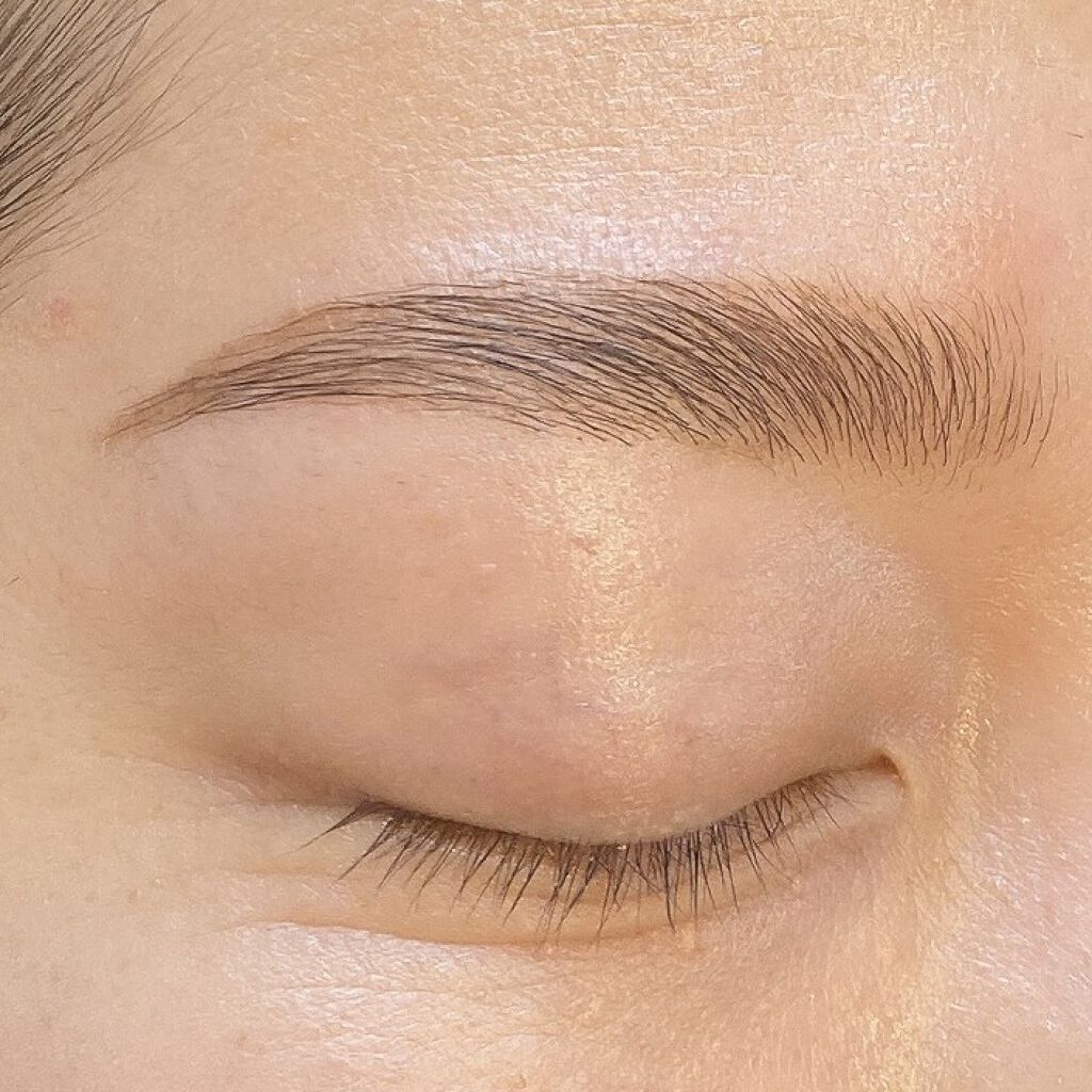 ノーズ＆アイブロウパウダー/CEZANNE/パウダーアイブロウを使ったクチコミ（1枚目）