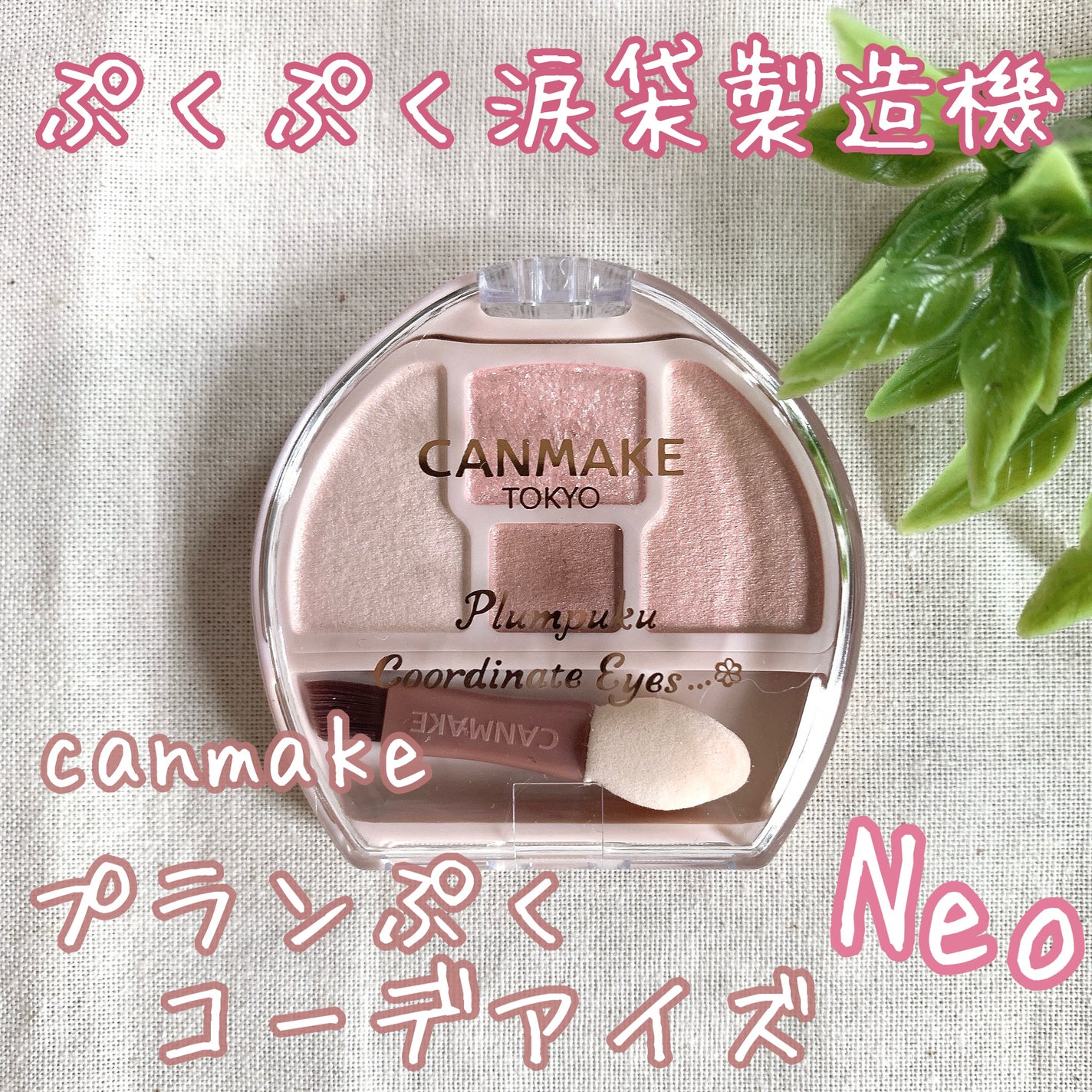 プランぷくコーデアイズNeo/キャンメイク/アイシャドウを使ったクチコミ(1枚目)