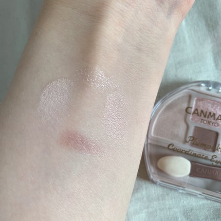 プランぷくコーデアイズNeo/キャンメイク/アイシャドウを使ったクチコミ(3枚目)