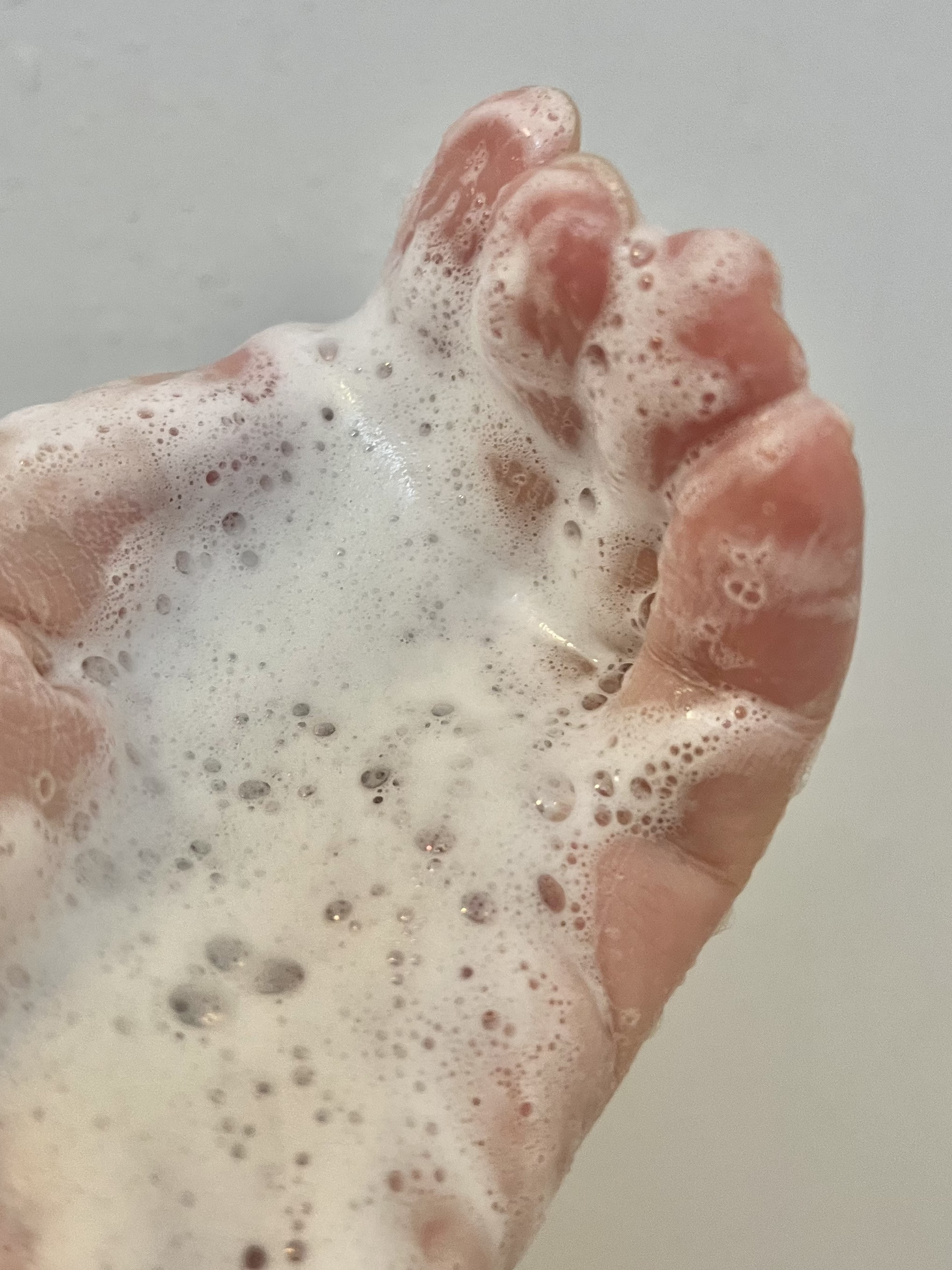 スキンコンディショニング洗顔/ファンケル/洗顔フォームを使ったクチコミ（2枚目）