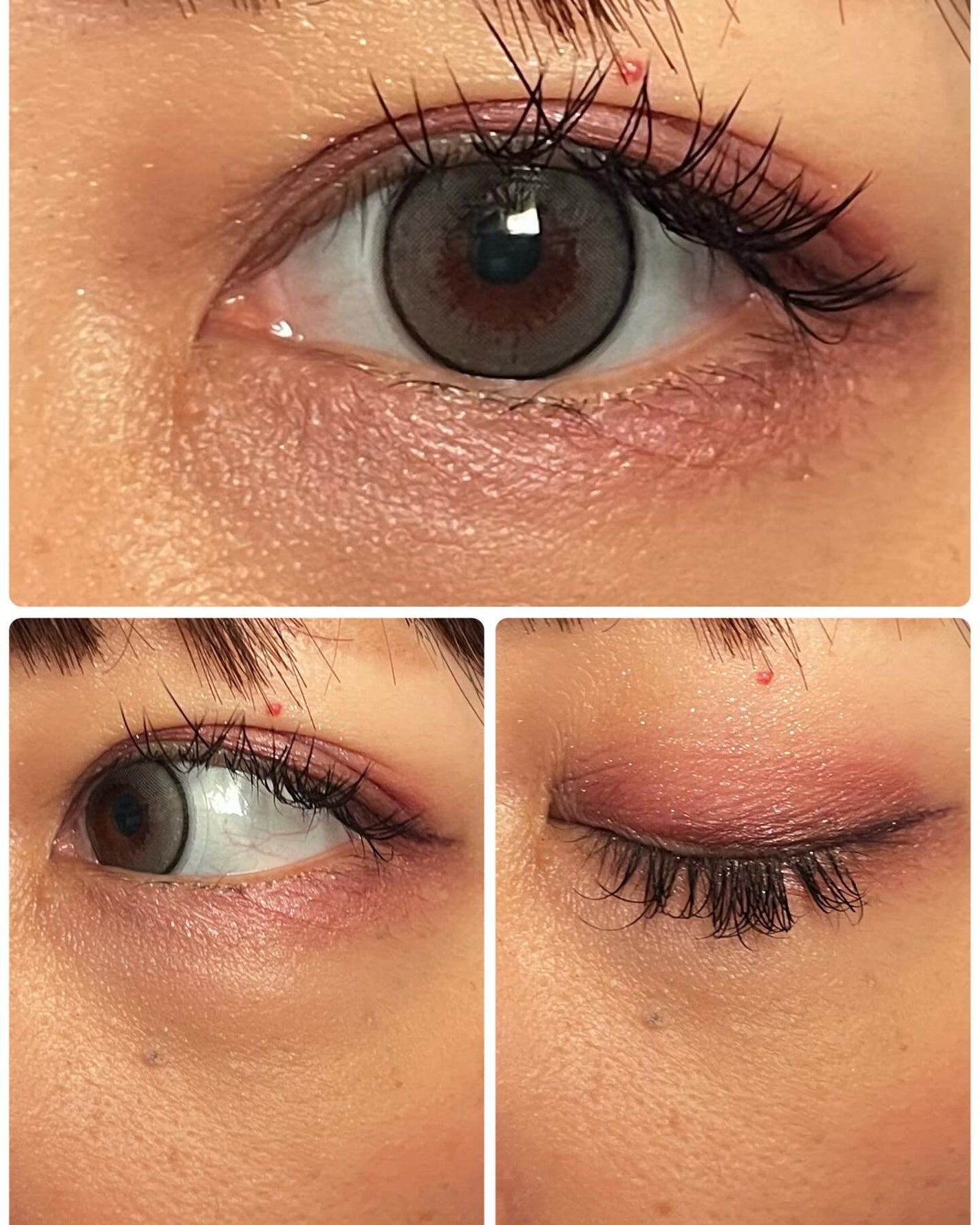 エバーカラーワンデー ナチュラル/エバーカラー/ワンデー(1DAY)カラコンを使ったクチコミ(4枚目)