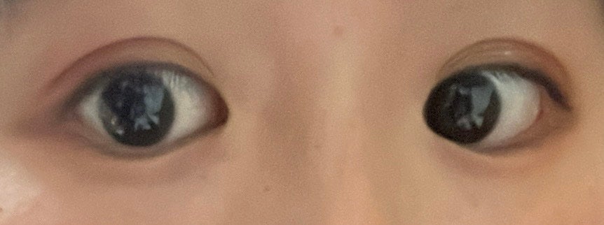 とりかわ on LIPS 「【使った商品】WHOMEE(フーミー)リリュタンパレットビスチ..」(4枚目)