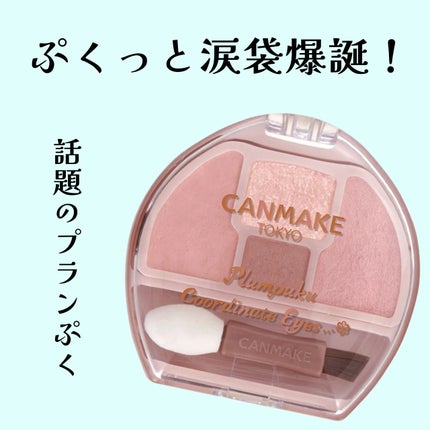 プランぷくコーデアイズ/キャンメイク/パウダーアイシャドウを使ったクチコミ(1枚目)