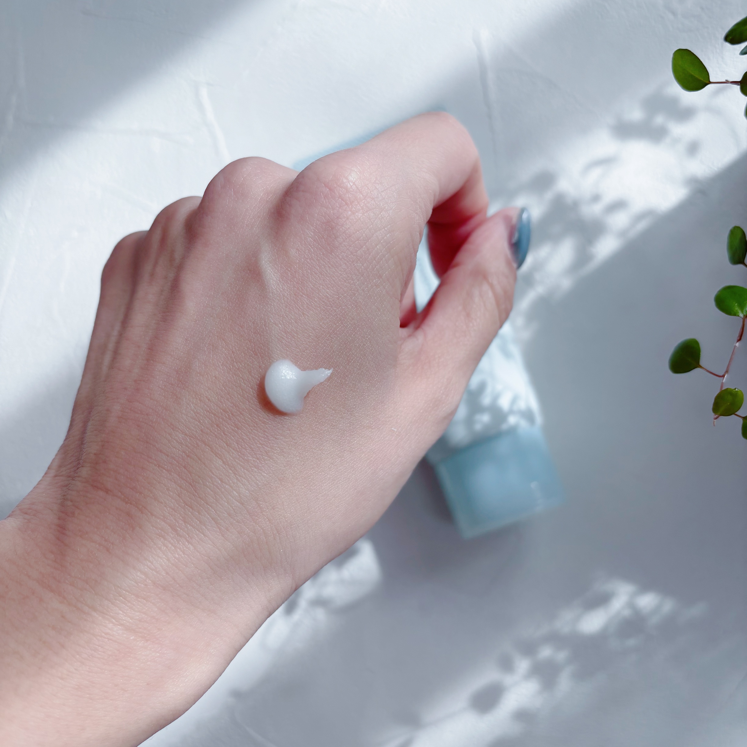 スキンコンディショニング洗顔/ファンケル/洗顔フォームを使ったクチコミ（2枚目）