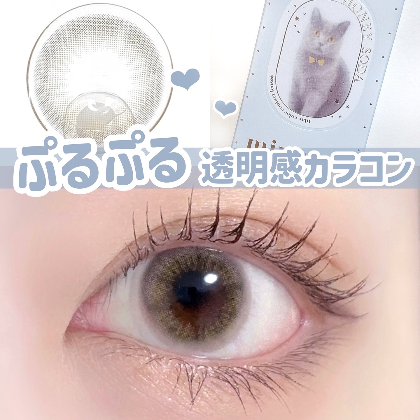 mimuco 1day/mimuco/ワンデー（１DAY）カラコンを使ったクチコミ（1枚目）