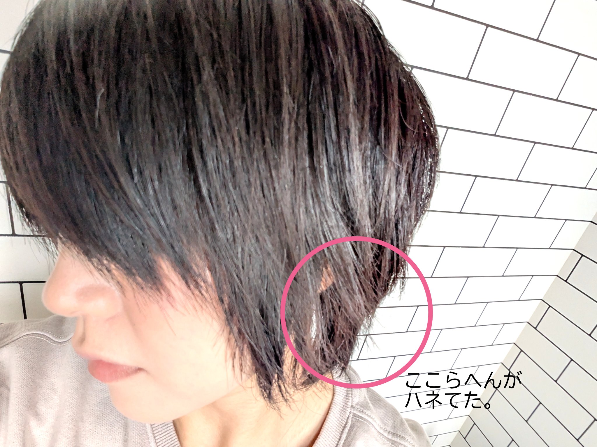 HAIRANGE ヘアミルク/HAIRANGE/ヘアミルクを使ったクチコミ（3枚目）