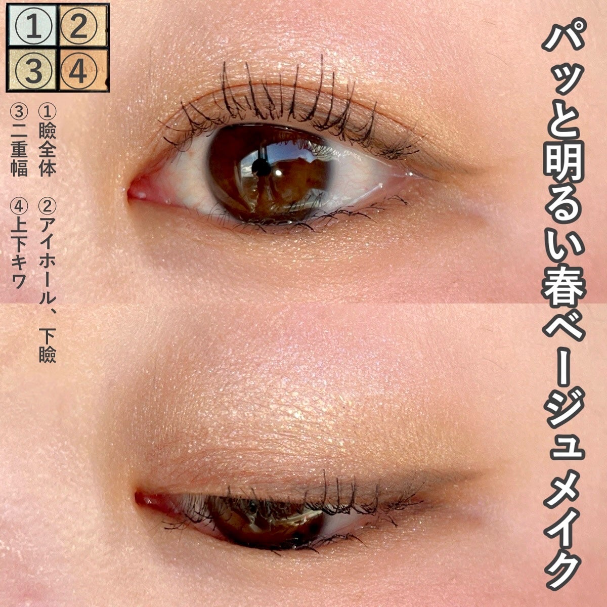 ルナソル アイカラーレーションN/LUNASOL/アイシャドウパレットを使ったクチコミ(5枚目)