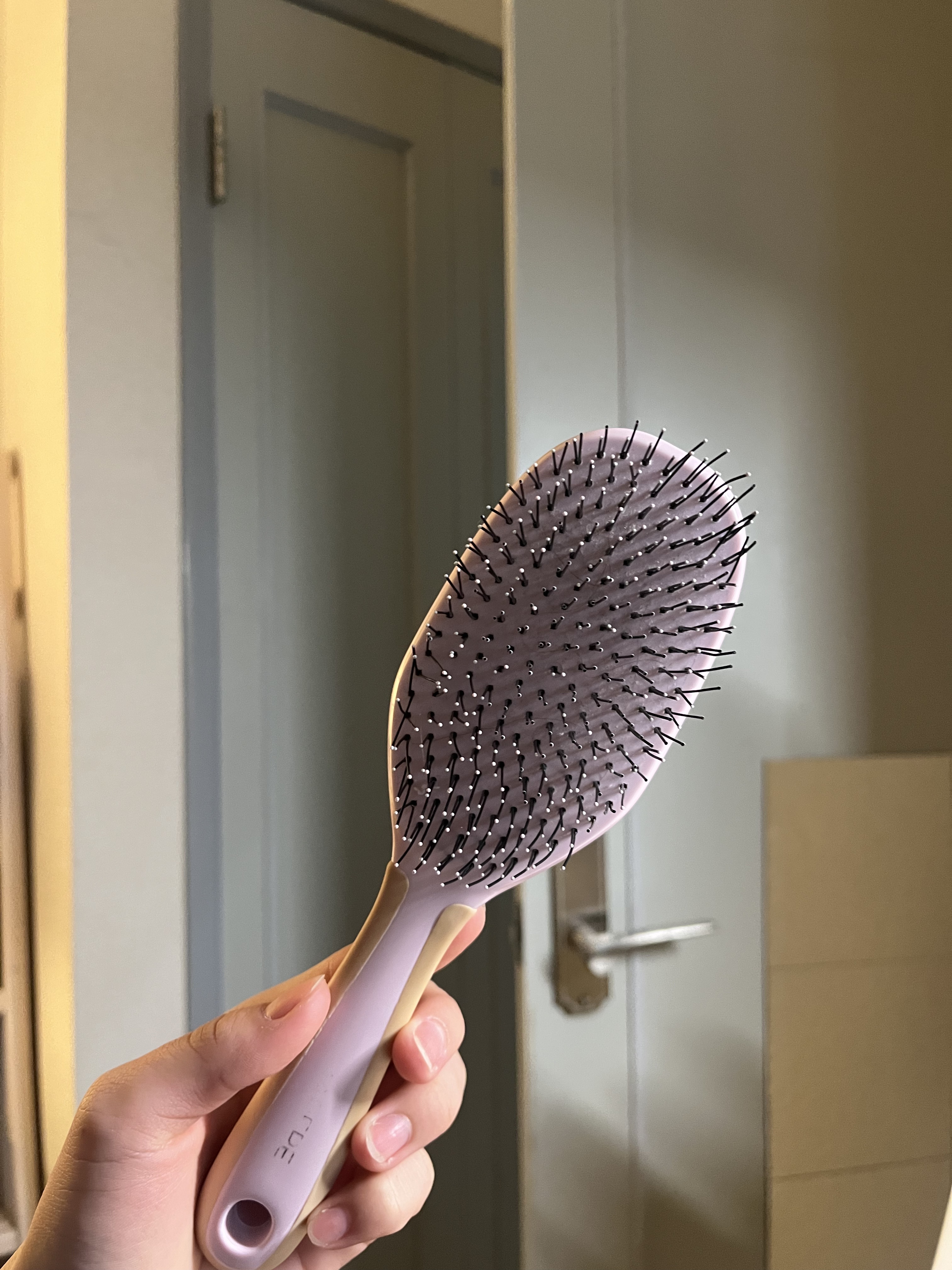 マペペ デタングリングブラシ ロングのクチコミ「❄︎••┈┈┈┈••❄︎••┈┈┈┈••❄︎

デタングリングブラシ ロング
マペペ/ピンク
.....」（1枚目）