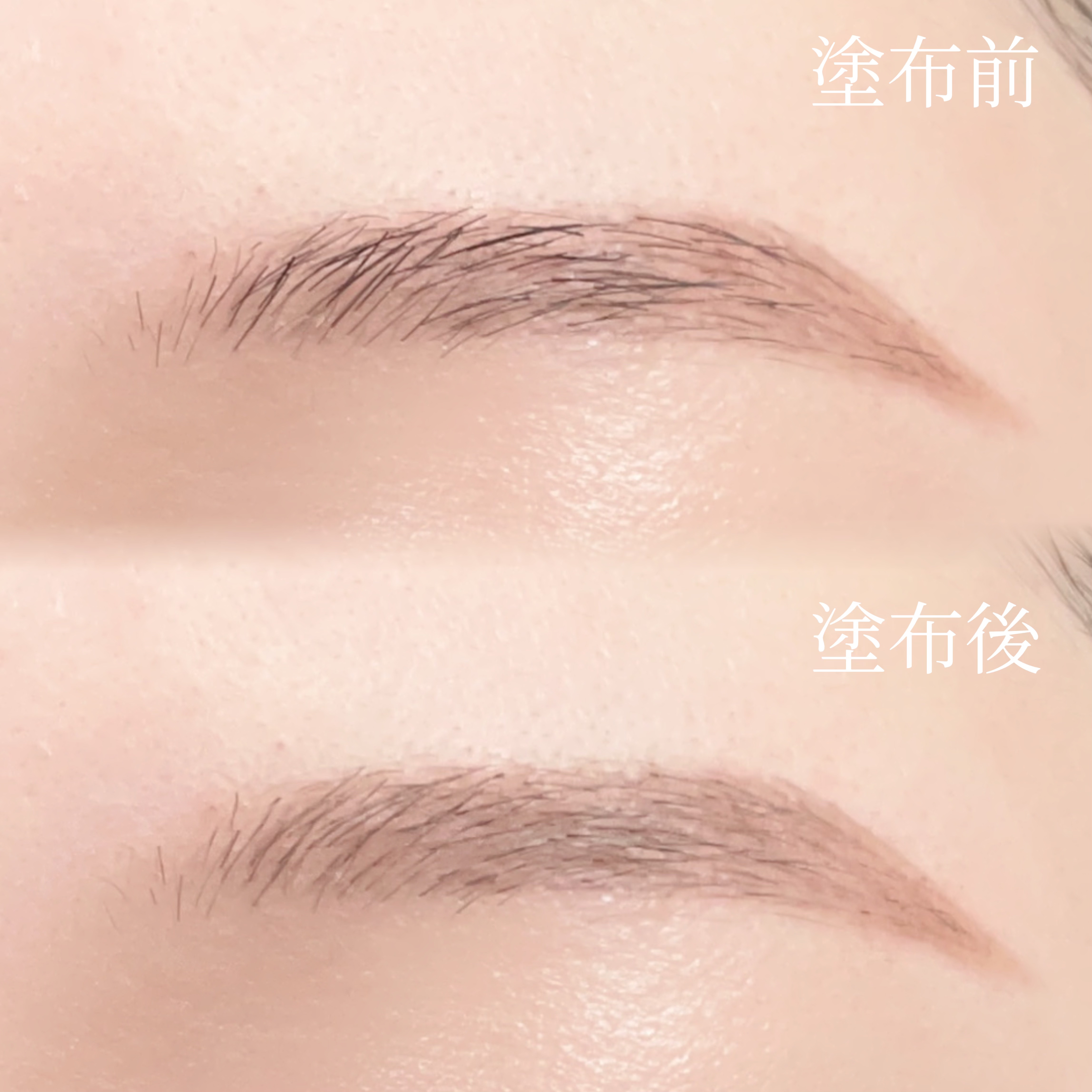 キス うす眉メーカー/KiSS/眉マスカラを使ったクチコミ（1枚目）