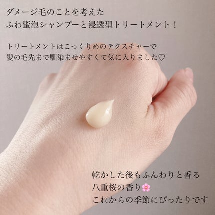 THE PREMIUM エクストラダメージケアシャンプー/トリートメント(シャイニーモイスト)/いち髪/市販シャンプーを使ったクチコミ(3枚目)
