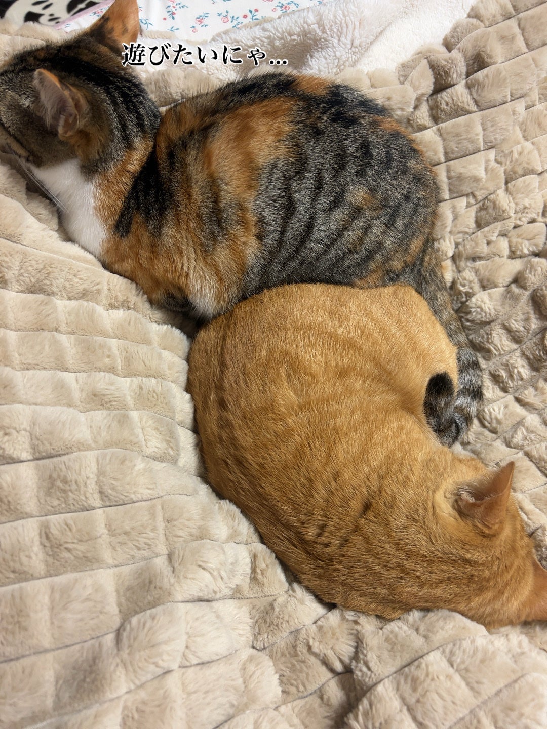 ðââ¬ã«ãããðŸ on LIPS ã仿¥ã®ã«ããããäž»ã«ããã«ãã£ã€ãããã¡ã³ã«ãããæåå
¥ãããª..ãïŒ4æç®ïŒ