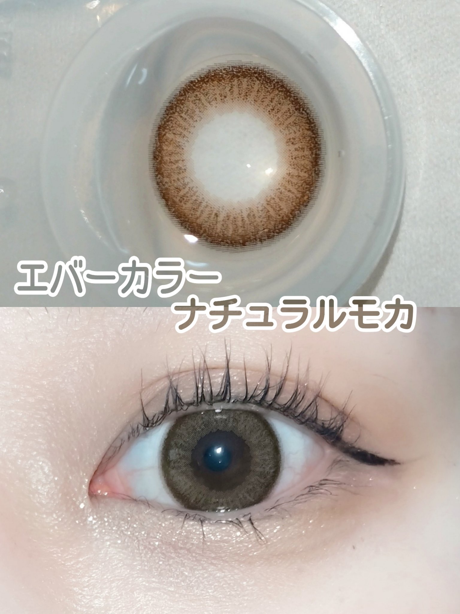エバーカラーワンデー ナチュラル ナチュラルモカ/エバーカラー/ワンデー（１DAY）カラコンを使ったクチコミ（1枚目）