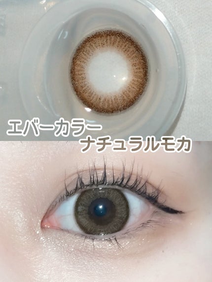 エバーカラーワンデー ナチュラル/エバーカラー/ワンデー(1DAY)カラコンを使ったクチコミ(1枚目)