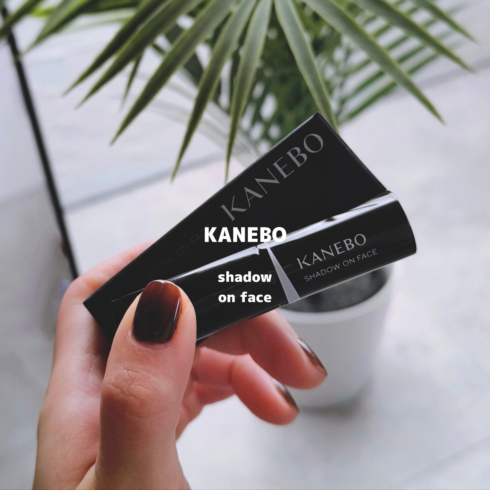 シャドウオンフェース/KANEBO/シェーディングを使ったクチコミ（1枚目）