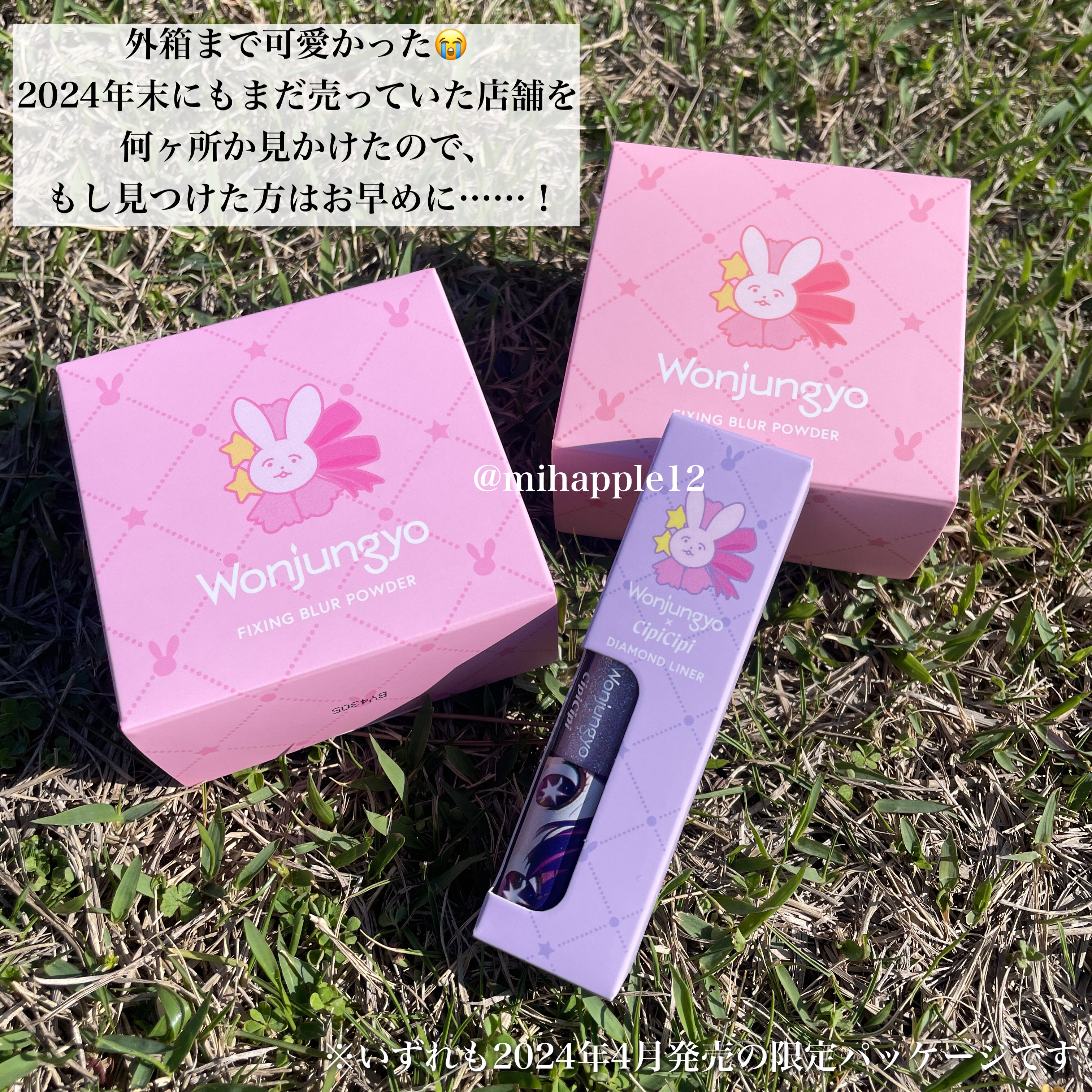 ウォンジョンヨ フィクシングブラーパウダー N/Wonjungyo/ルースパウダーを使ったクチコミ（3枚目）