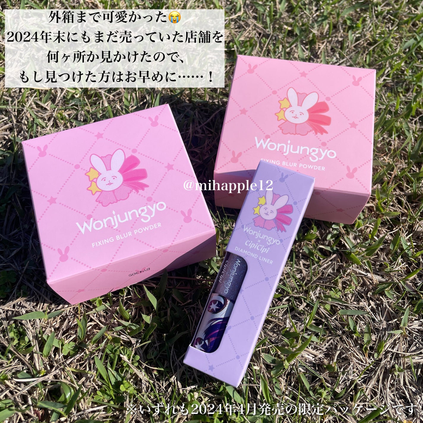 ウォンジョンヨ フィクシングブラーパウダー N/Wonjungyo/ルースパウダーを使ったクチコミ(3枚目)