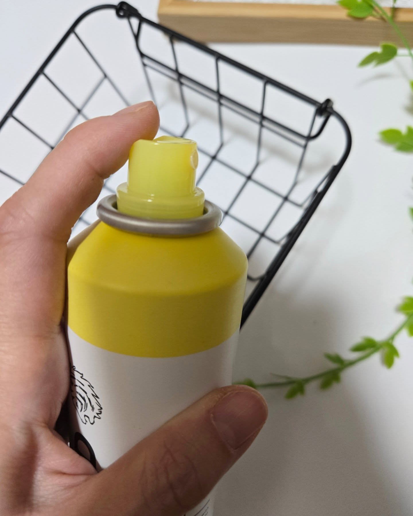 タイガレイド ウォーターミスト Ⅴ/タイガレイド/ミスト状化粧水を使ったクチコミ（2枚目）