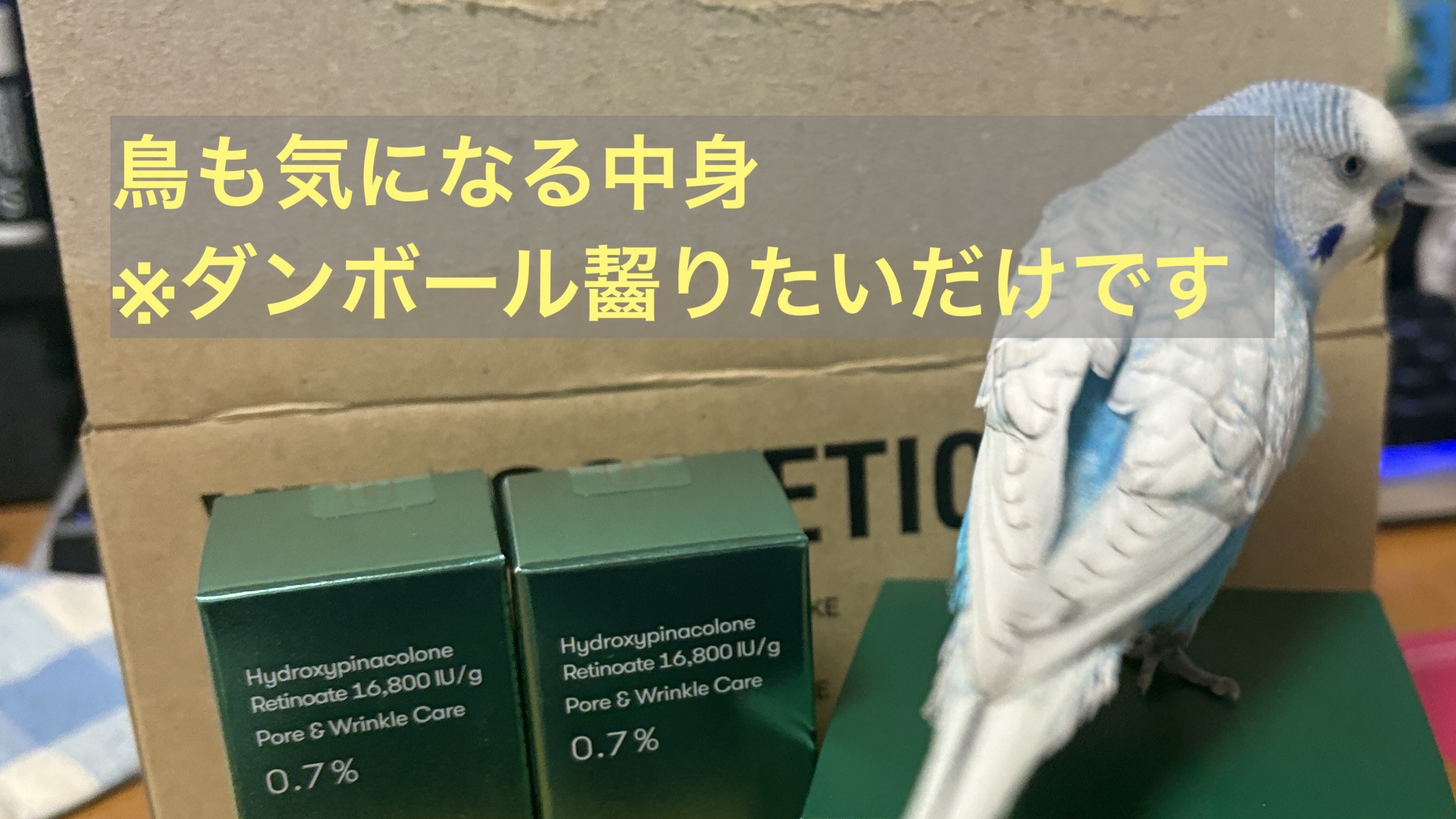 CICA マイルドトナーパッド/VT/トナーパッドを使ったクチコミ（2枚目）