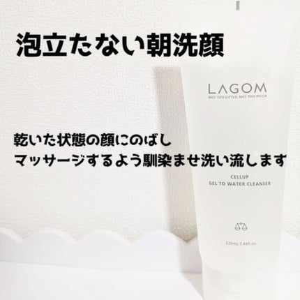 ラゴム ジェルトゥウォーター クレンザー(朝用洗顔)/LAGOM /その他洗顔料を使ったクチコミ(3枚目)