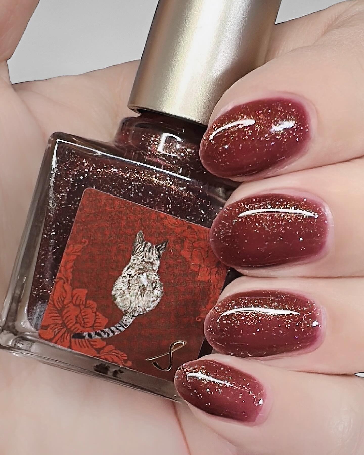 ネイルエス/ nail S(ネイルエス) /マニキュアを使ったクチコミ（1枚目）