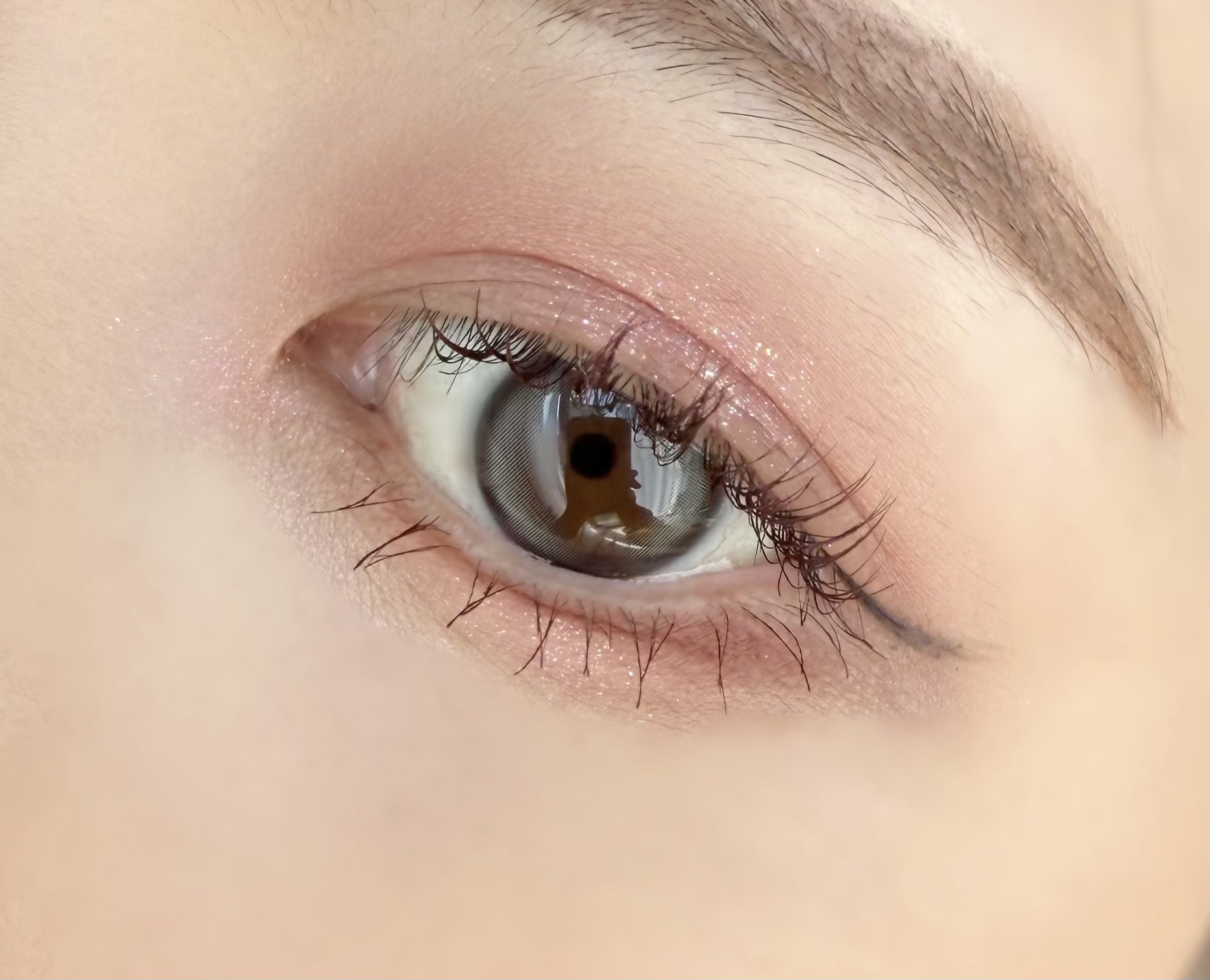 シャドウパレット 30 チェリーブロッサム /dasique/アイシャドウパレットを使ったクチコミ（3枚目）